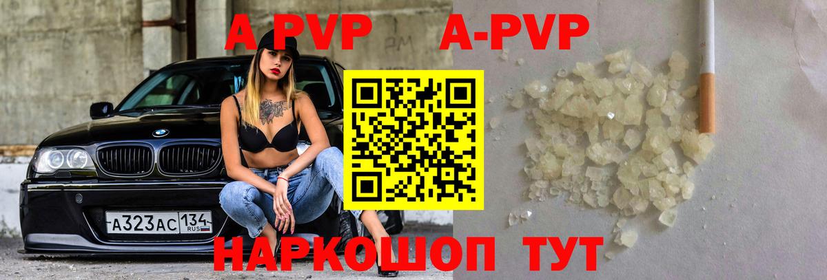 Альфа ПВП крисы CK Гатчина