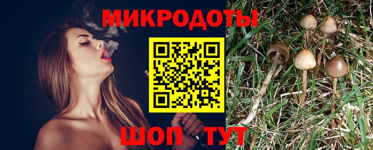 Галлюциногенные грибы GOLDEN TEACHER Гатчина