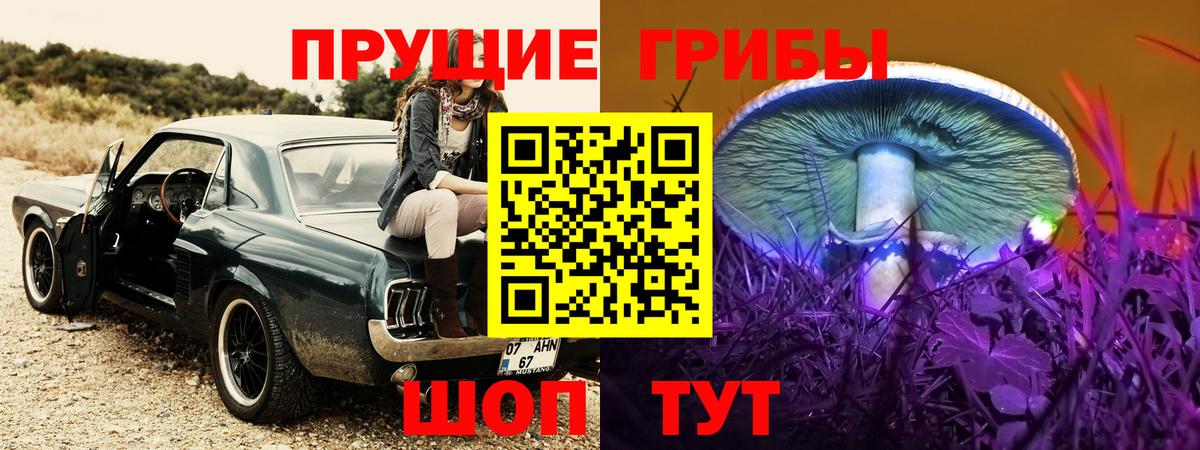 Псилоцибиновые грибы GOLDEN TEACHER  Псилоцибиновые грибы GOLDEN TEACHER  Гатчина  Вход с VPN 